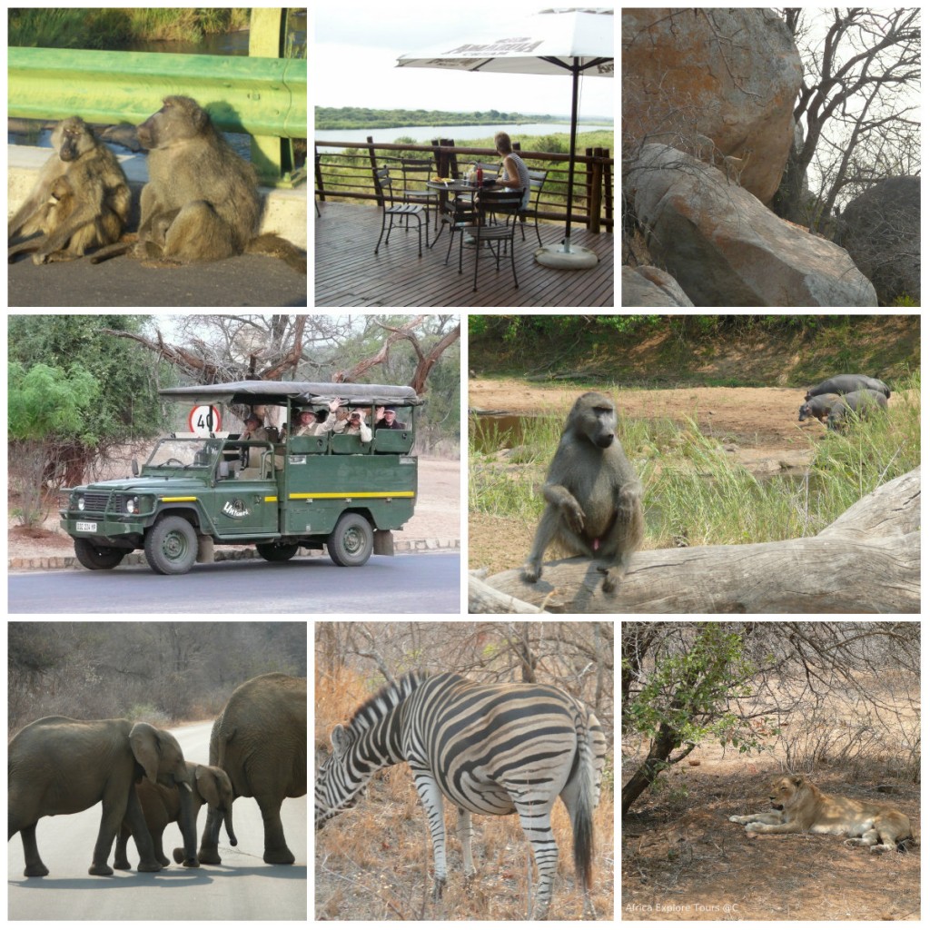 africa explore tours